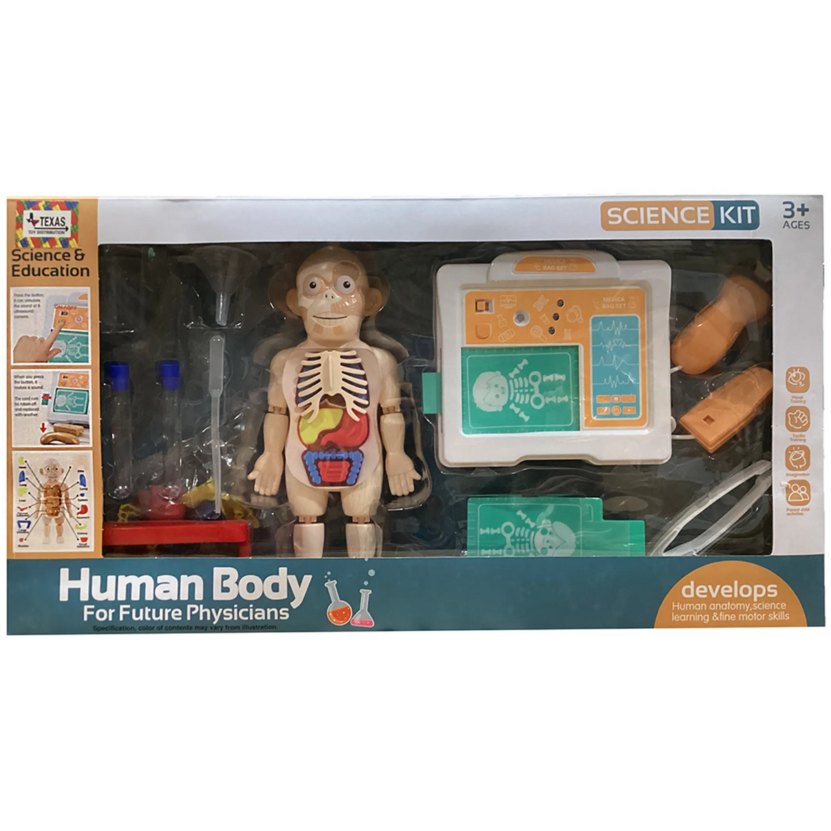 Human Body Anatomy Science Kit for Kid Doctors