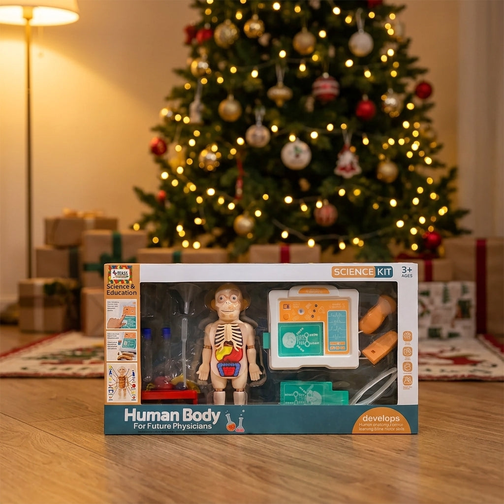 Human Body Anatomy Science Kit for Kid Doctors – Christmas gift under the tree